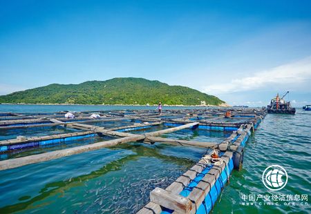 沿海地區(qū)加快布局 海洋經(jīng)濟數(shù)萬億級市場空間有望開啟