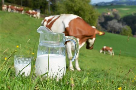 奶粉新政倒逼海外并購加速 乳業(yè)國際化或掀第二輪高潮