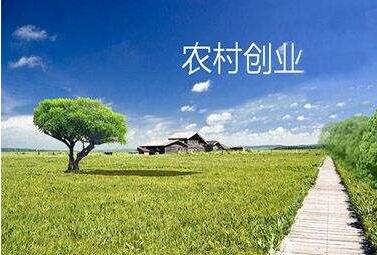 我國農村創(chuàng)業(yè)創(chuàng)新人員已達700萬人