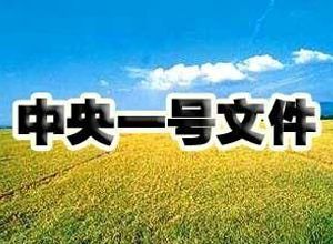 今年“一號文件”含金量高 “三重”涉及多個產(chǎn)業(yè)機(jī)會