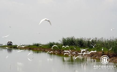 山西：28項(xiàng)優(yōu)先行動(dòng)推進(jìn)全省生物多樣性保護(hù)