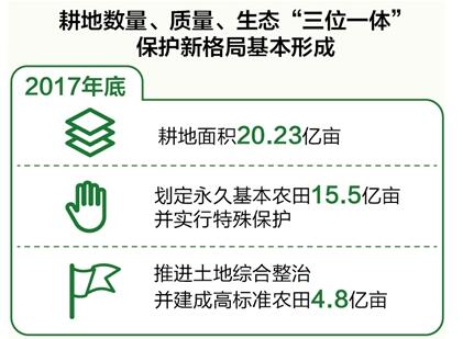 數(shù)量、質量、生態(tài)協(xié)同 耕地保護新格局基本形成