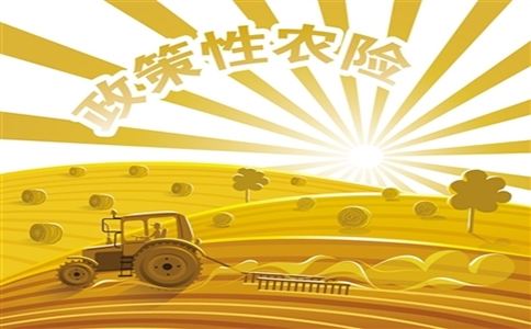 2022年我國農(nóng)業(yè)保險為1.67億戶次農(nóng)戶提供風(fēng)險保障5.46萬億元