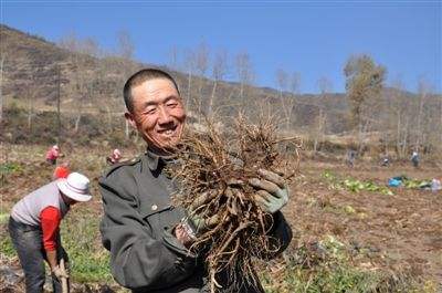 青海全力推動農(nóng)牧民和脫貧人口就業(yè)增收