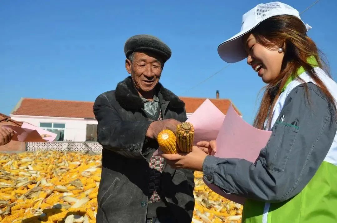 中儲糧集團(tuán)：聚焦“三農(nóng)”謀幫扶 多措并舉促振興