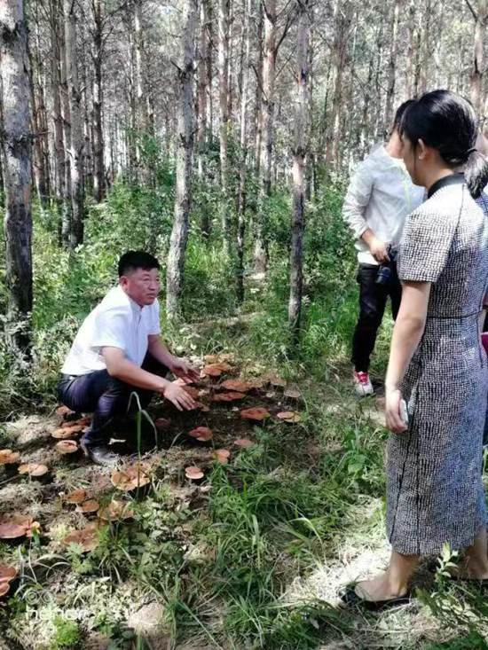 祝嗣臣（左）傳授林地栽培新技術(shù).jpg