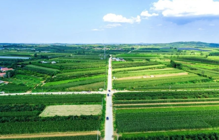 中交集團建設“四好農(nóng)村路” 串起好山好水好生活