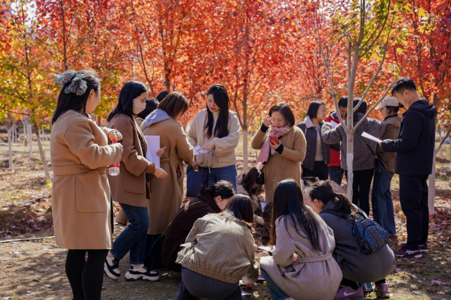 這場紅楓下的活動，有新意更有“心意”